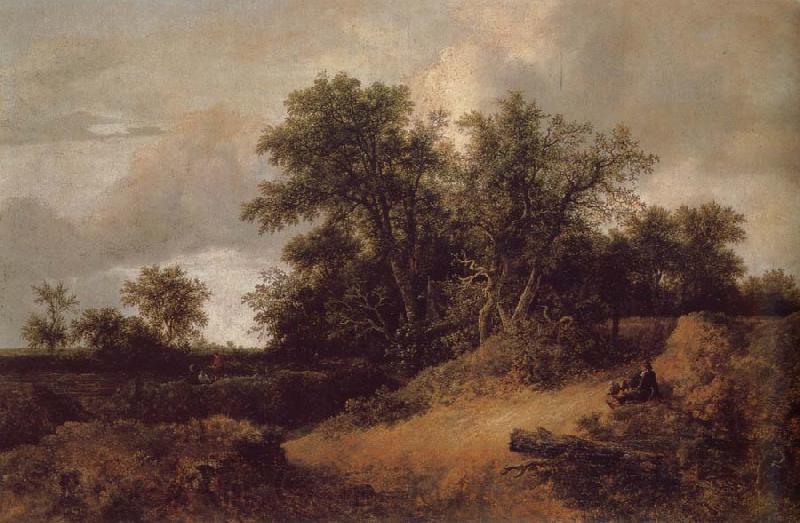 Jacob van Ruisdael Dune Landfscape France oil painting art
